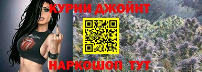 сатива Краснознаменск