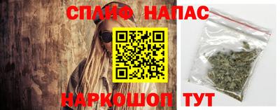 сатива Краснознаменск