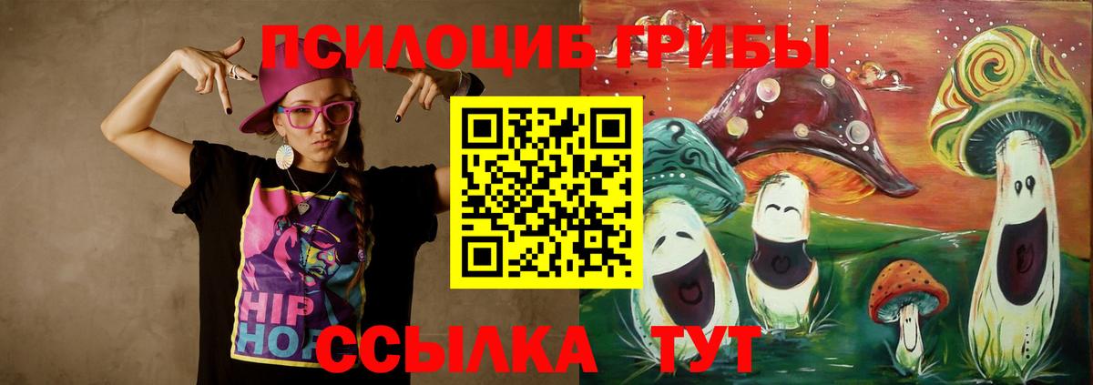 Псилоцибиновые грибы MAGIC MUSHROOMS Камень-на-Оби